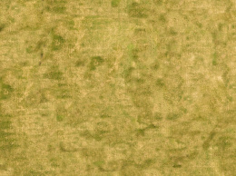 Łąka - Wymiary 150 cm x 100 cm